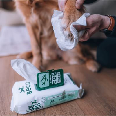 Beco Wipes Unscented