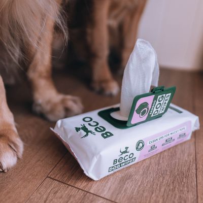 Beco Wipes Coconut Scented