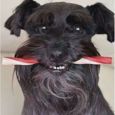 Maks Patch - Fruit Straws