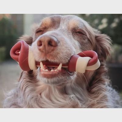 Veggie Knotted Bones