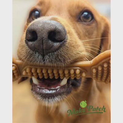 Peanut Butter Bumpi Bone