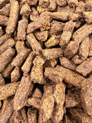 Beef &amp; Green Lipped Mussel Training Bites