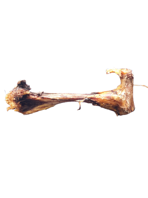 Beef Leg Bone (Dehydrated)