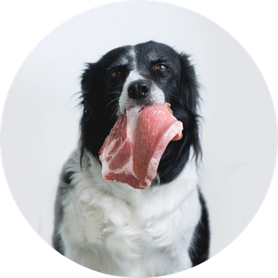 Raw Pet Food