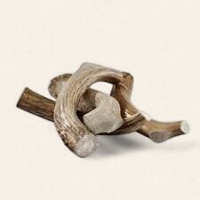 Deer Antler - Assorted