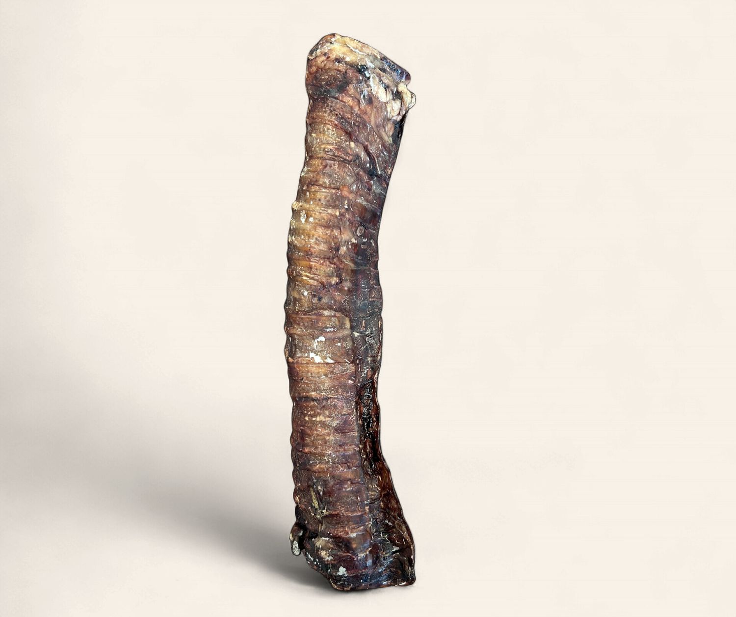 Moo Tube - Large