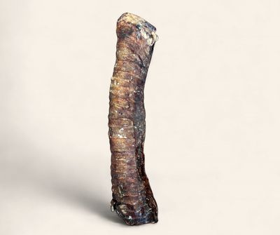 Moo Tube - Large