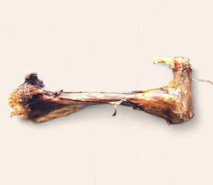 Beef Leg Bone (Dehydrated)