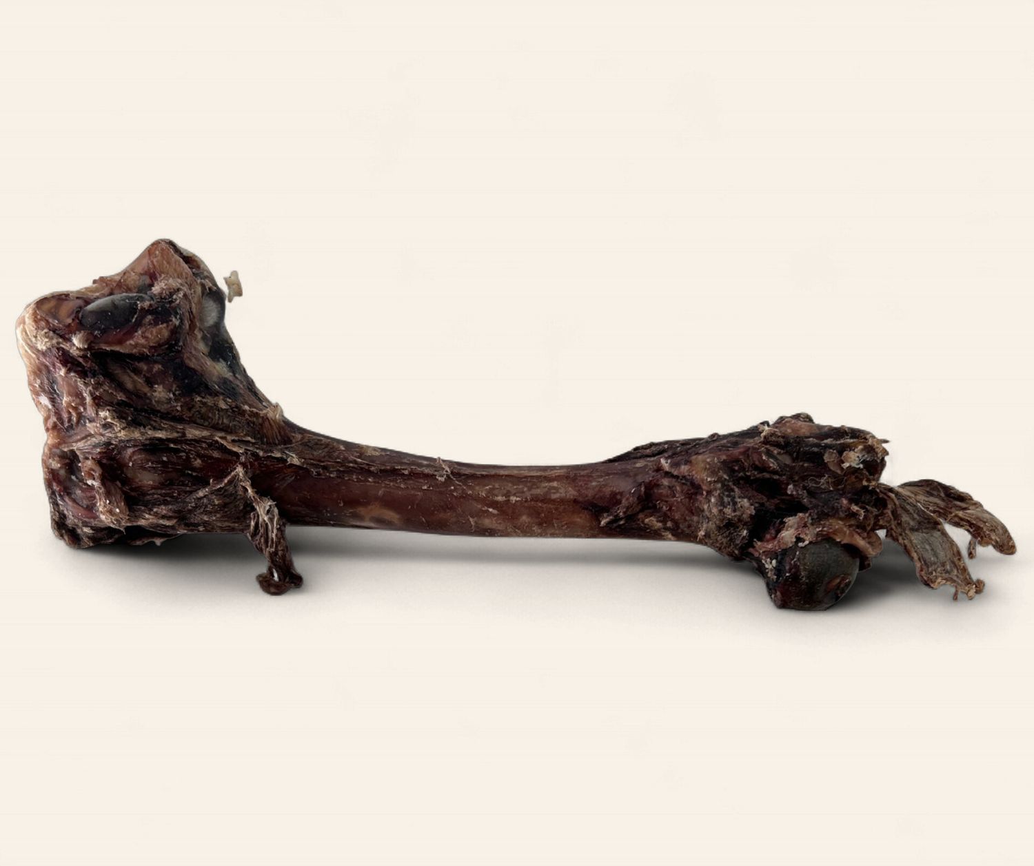 Venison Bone (Dehydrated)