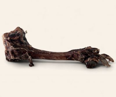Venison Bone (Dehydrated)