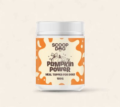 Pumpkin Powder