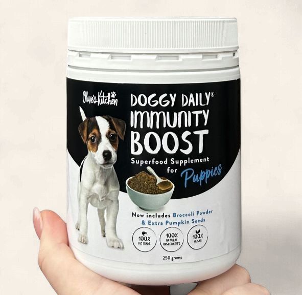 Doggy Daily - Puppy