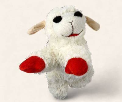Lamb Chops