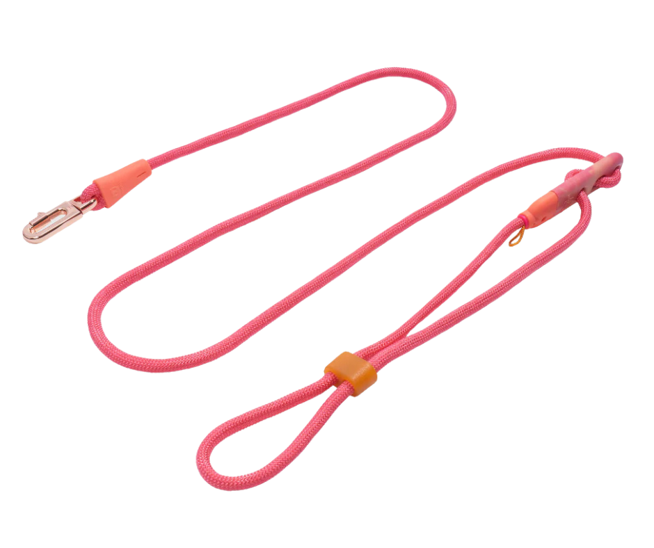 ZeeDog - Hands Free Leash, Colour: Gazelle