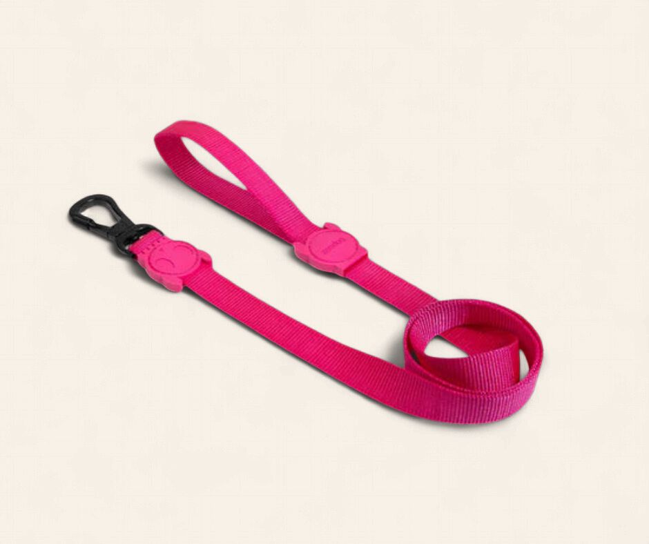 Zee. Dog Leash - Pink