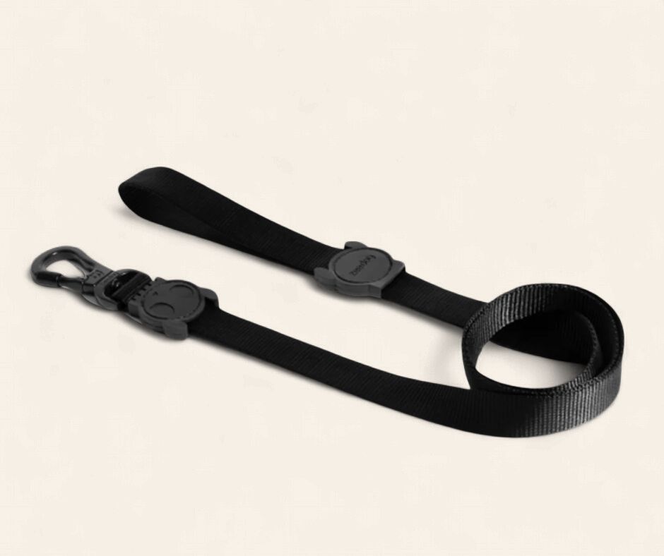 Zee.Dog Leash - Black