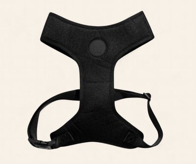 Zee.Dog Air Mesh Harness - Black