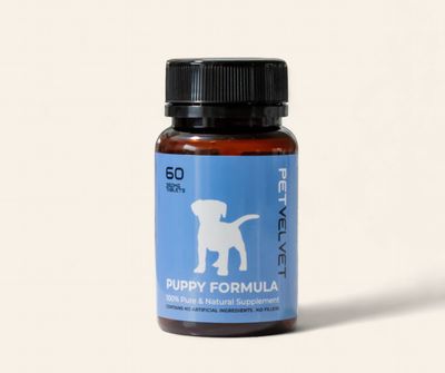 NZ Deer Velvet - Puppy Formula