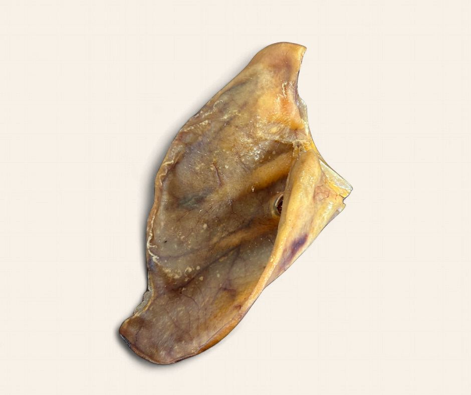 Pigs Ears