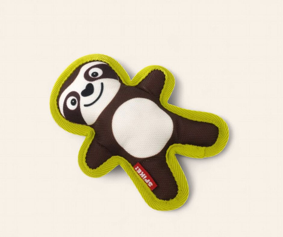 Canvas Sloth