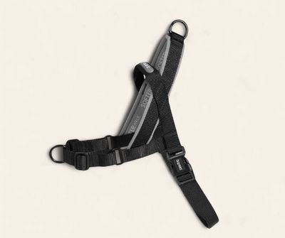 Zee.Dog Anti-Pull Harness - Gotham