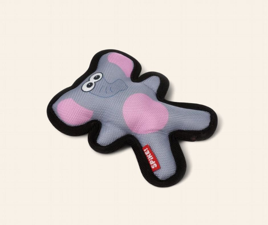 Canvas Elephant