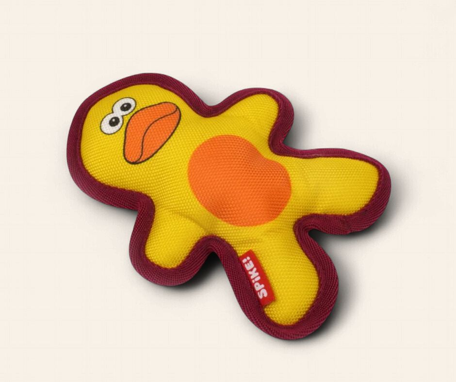 Canvas Duck