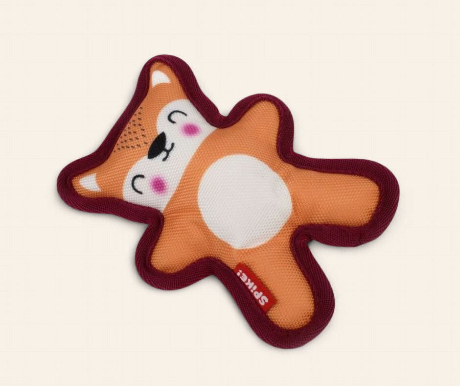 Canvas Bear