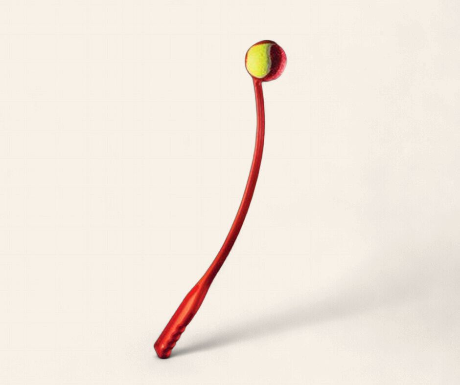 Ball Thrower with Ball