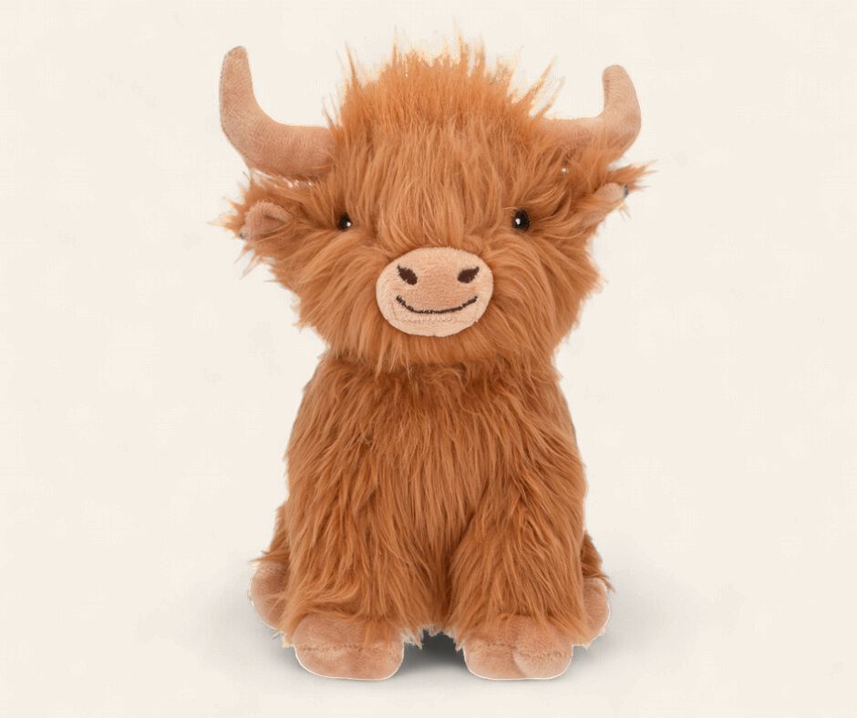 Highland Cow