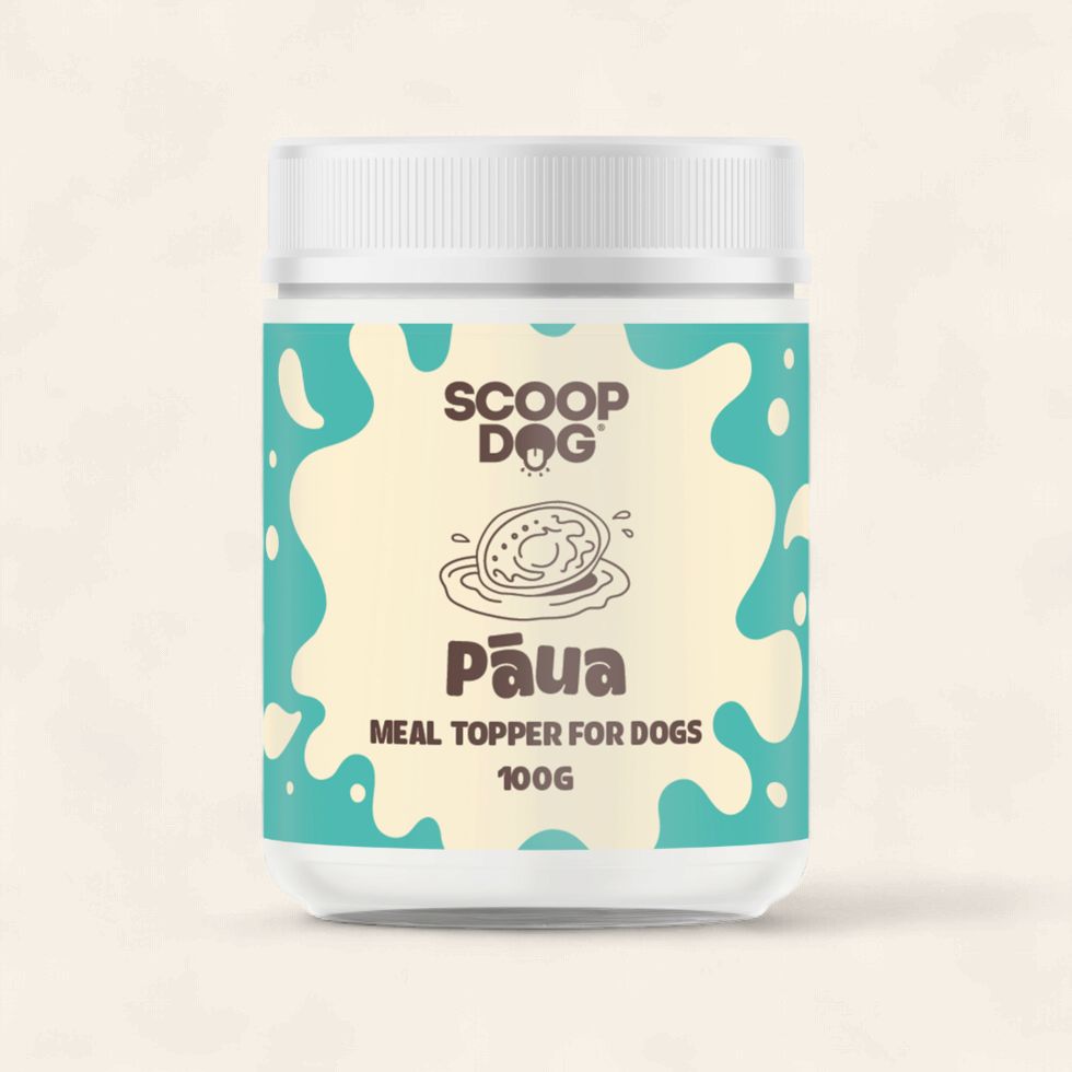 Scoop Dog - Paua Topper