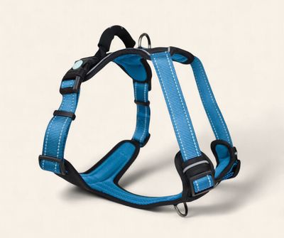 Huskimo Ultimate Harness - Bells Beach