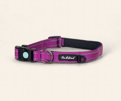 Huskimo Trekpro Collar - Aurora
