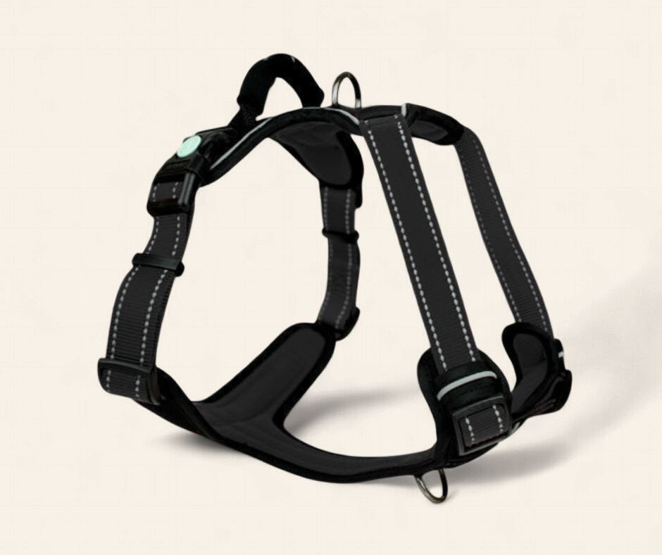 Huskimo Ultimate Harness - Dark Sky