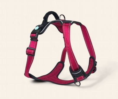 Huskimo Ultimate Harness - Uluru