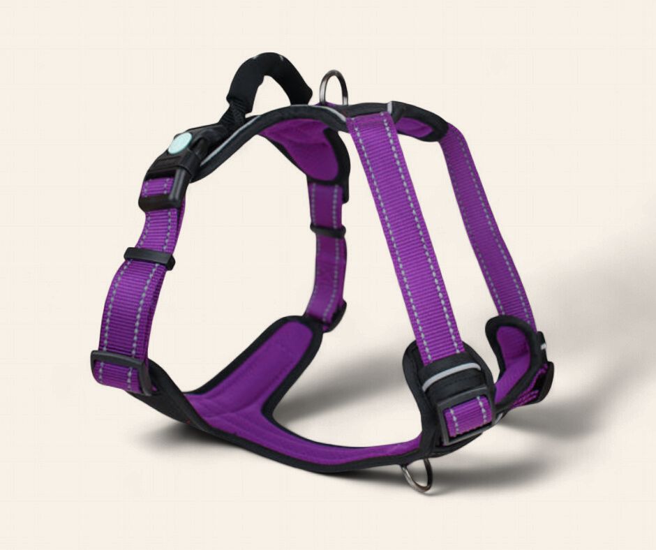 Huskimo Ultimate Harness - Aurora