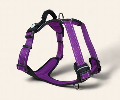 Huskimo Ultimate Harness - Aurora