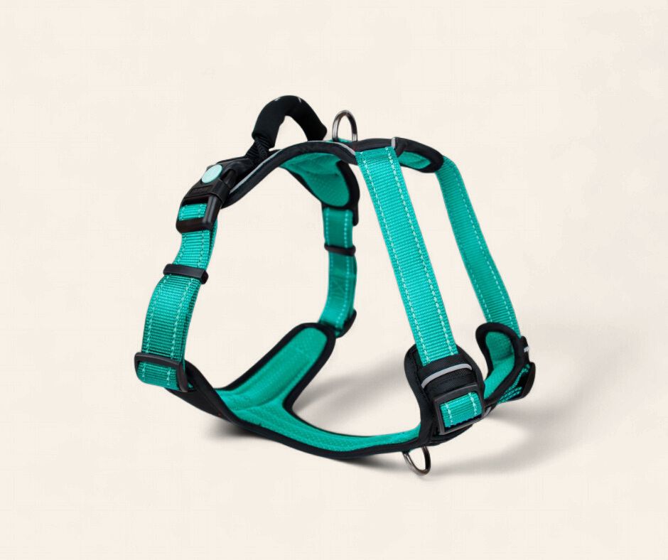 Huskimo Ultimate Harness - Ningaloo