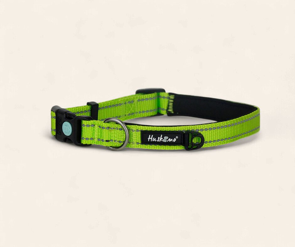 Huskimo Trekpro Collar - Daintree