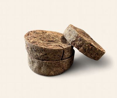 Meaty Venison Cookie