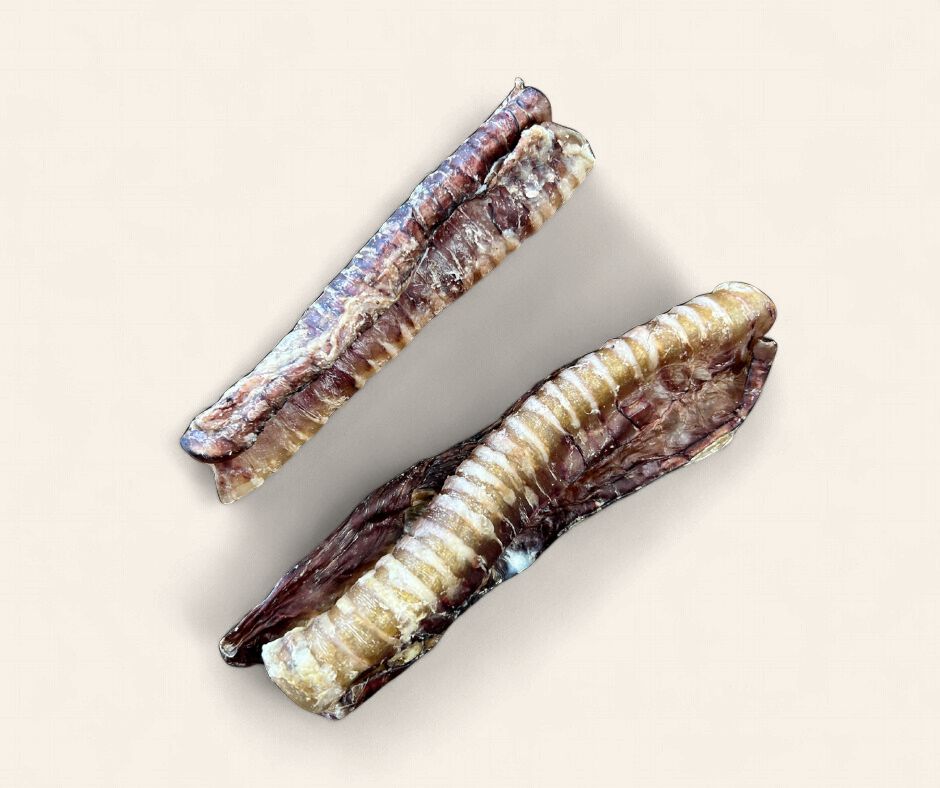 Venison Trachea