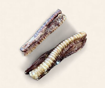 Venison Trachea