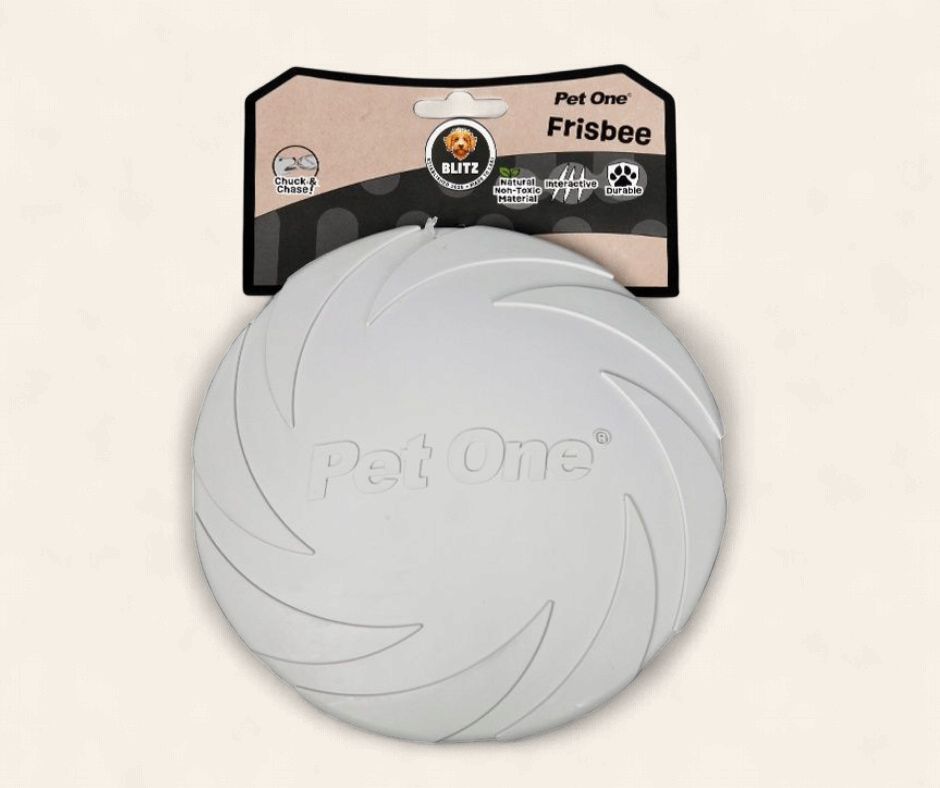 Blitz Frisbee