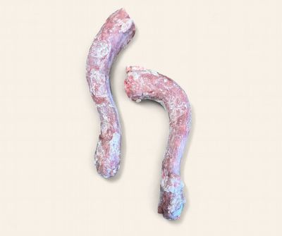Turkey Necks