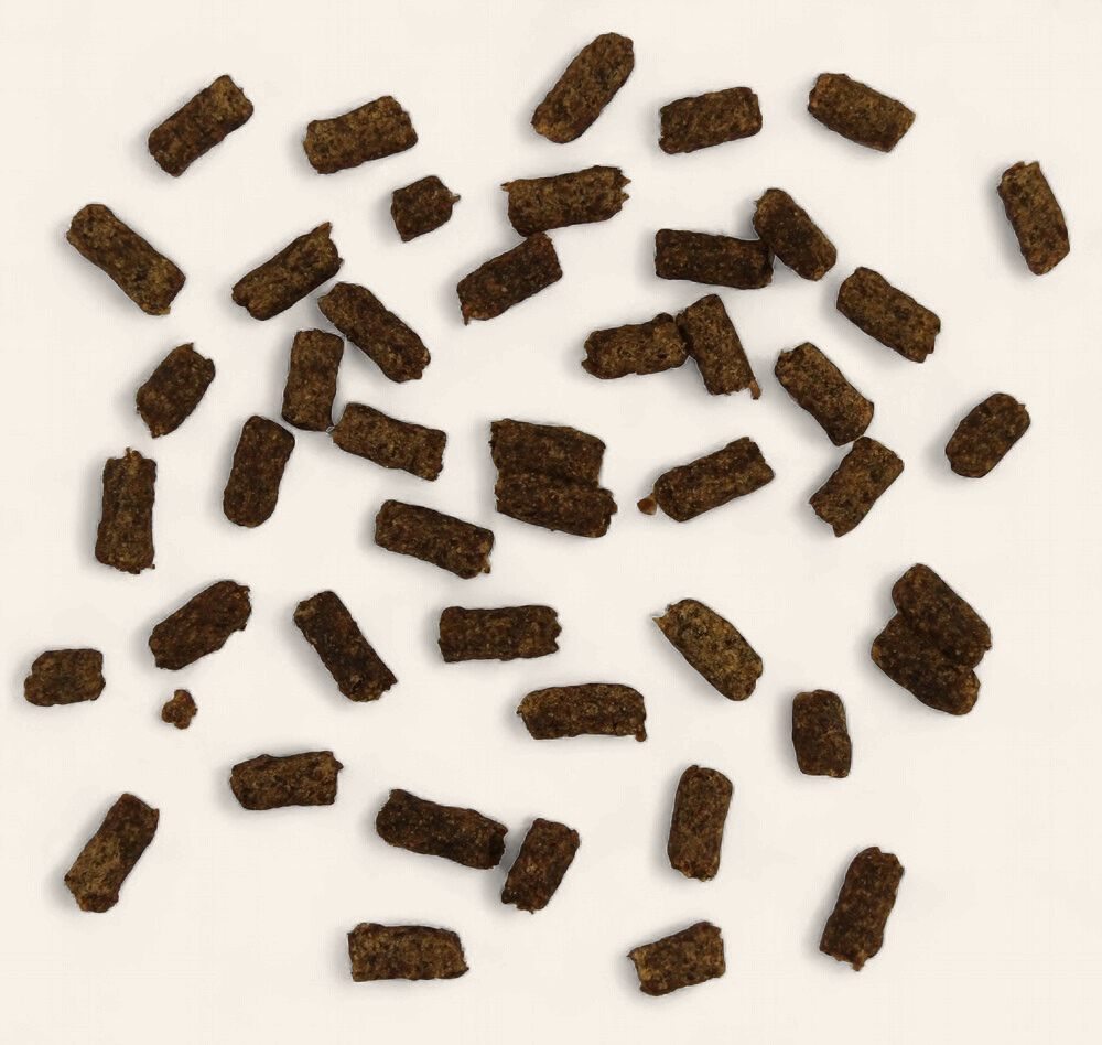 Beef &amp; Green Lipped Mussel Training Bites