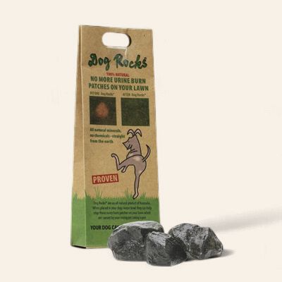 Dog Rocks
