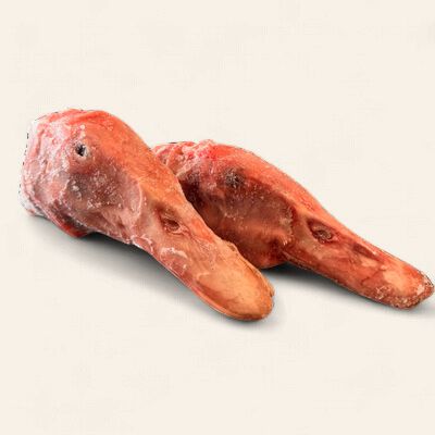 Duck Heads