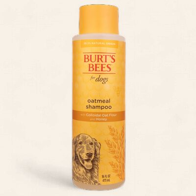 Burt's Bees -  Oatmeal Shampoo