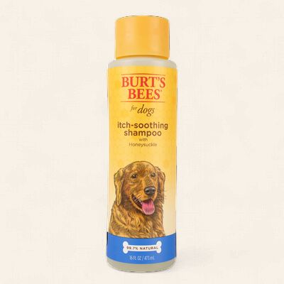 Burt's Bees - Itch Soothing Shampoo