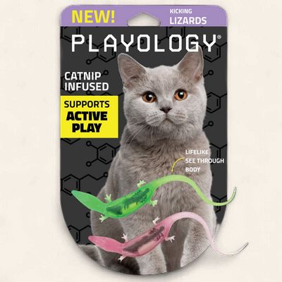 Playology - 2pk Lizards With Bugs Cat Toy
